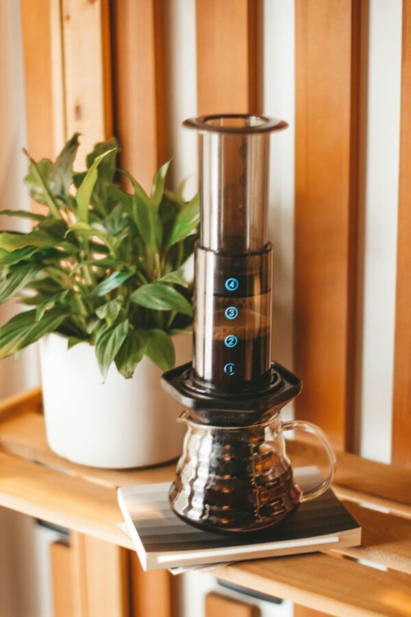 Aeropress coffee maker placed on wooden shelf near lush potted plant in light living room